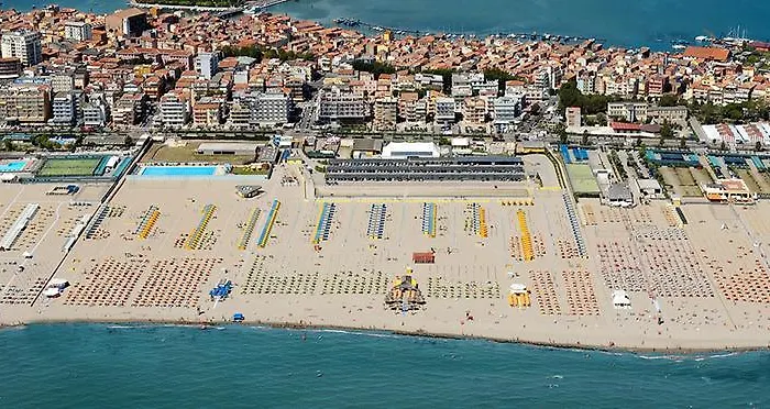Medusa Sottomarina
